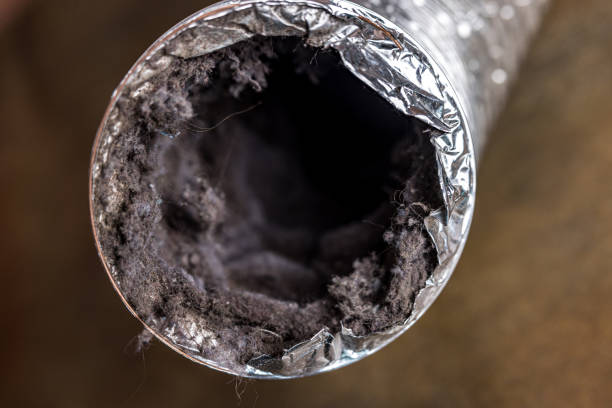 Best HVAC Air Duct Cleaning  in Mahtomedi, MN