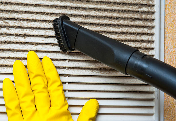 Best Air Duct Cleaning Near Me  in Mahtomedi, MN